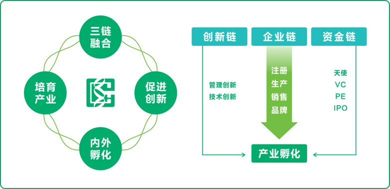 尊龙凯时人生就是博式孵化